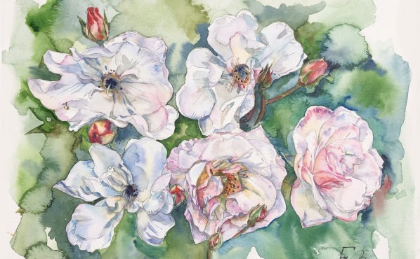 Дизайнер-иллюстратор. Профессиональный курс – работы студентов - 17